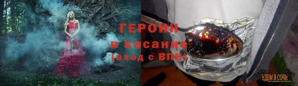 прущие грибы Верхний Тагил