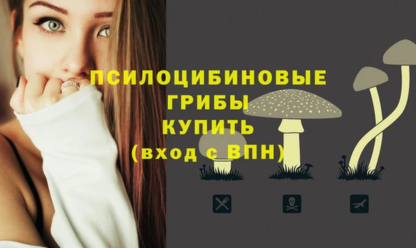 ГАЛЛЮЦИНОГЕННЫЕ ГРИБЫ Волосово