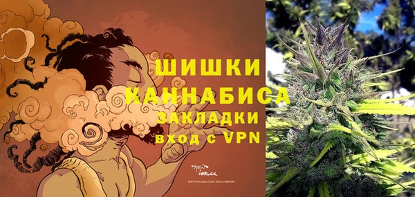 ПСИЛОЦИБИНОВЫЕ ГРИБЫ Верхнеуральск