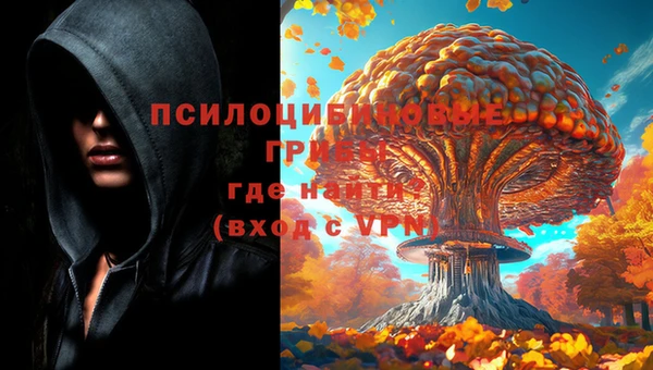 прущие грибы Верхний Тагил