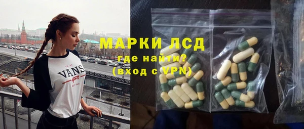 прущие грибы Верхний Тагил